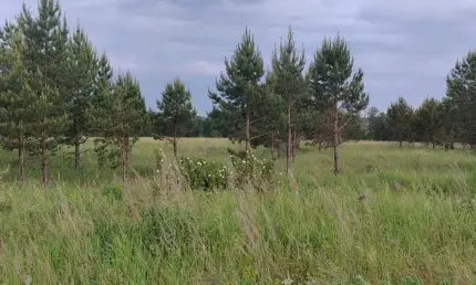 Татарстан выполнил часть плана по заготовке семян в рамках нацпроекта - НТР 24