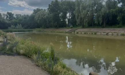 В Казани в озере в парке Тинчурина всплыло тело - НТР 24