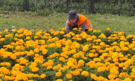 Студенты и подростки благоустраивают и озеленяют Нижнекамск - НТР 24