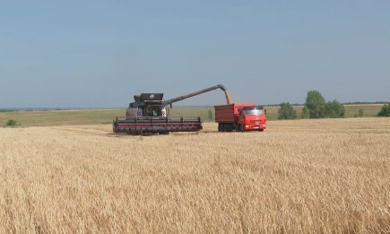 В Татарстане завершили подготовку к масштабной уборочной кампании - НТР 24