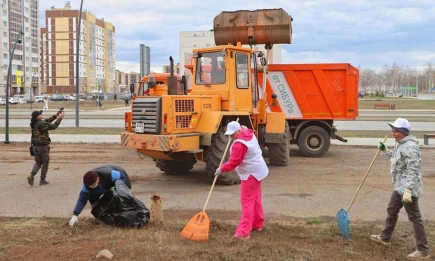 Чистые итоги - НТР 24