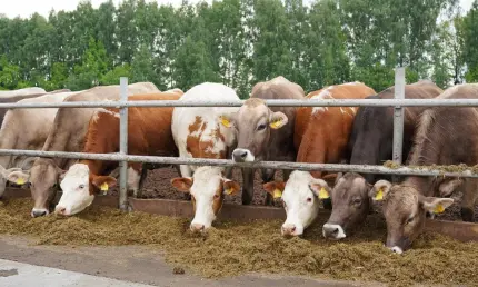 Минсельхозпрод РТ объявляет о начале приема заявок на предоставление гранта «Агростартап» - НТР 24