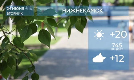 Прогноз погоды в Нижнекамске на 24-е июня 2025 года - НТР 24