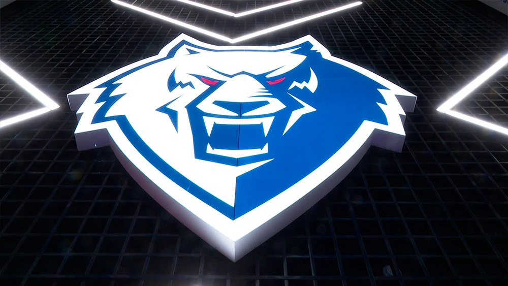 Логотип ХК Нефтехимик Нижнекамск