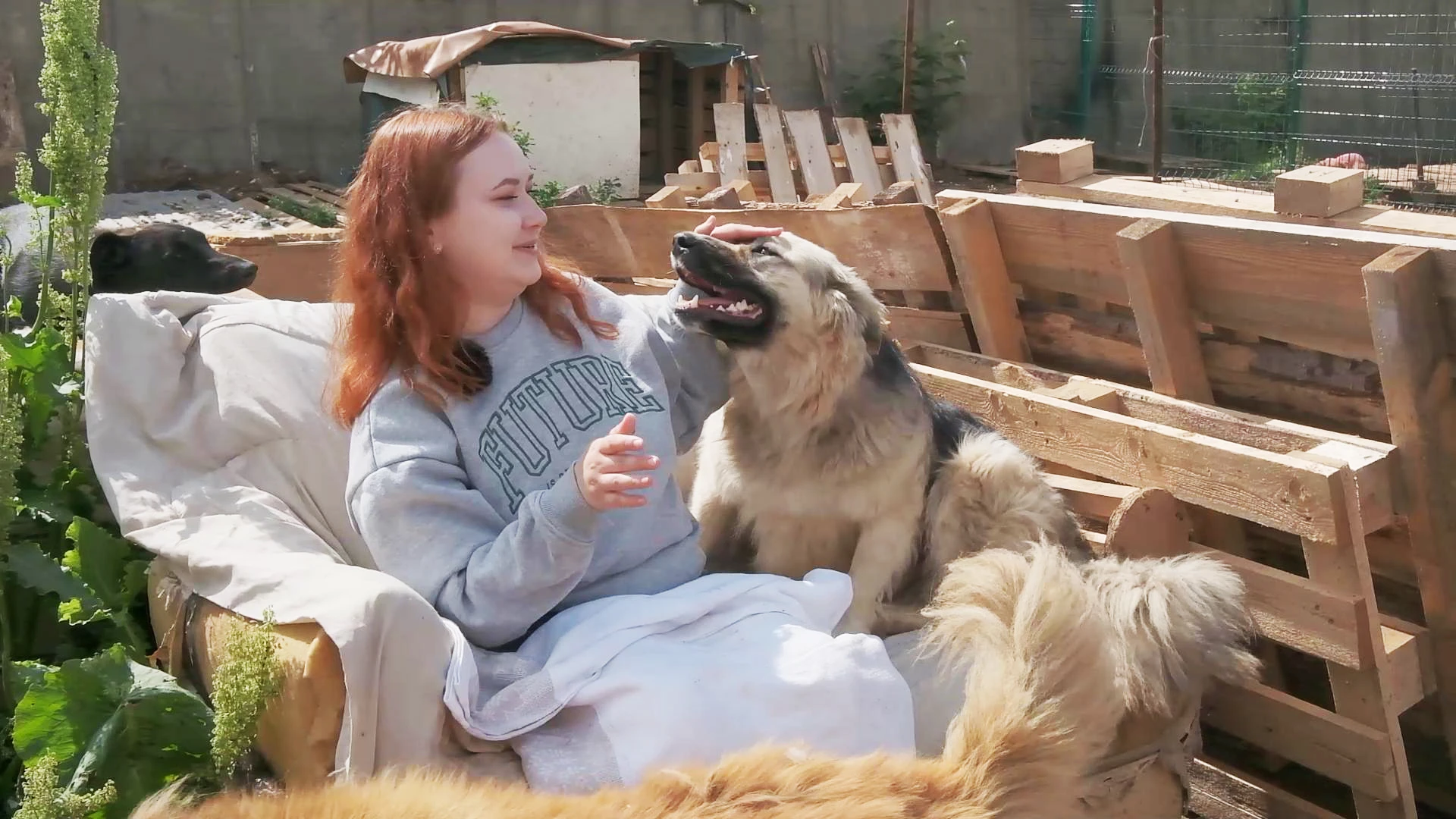 Анжелика Степанова в приюте для собак «Хвостики»