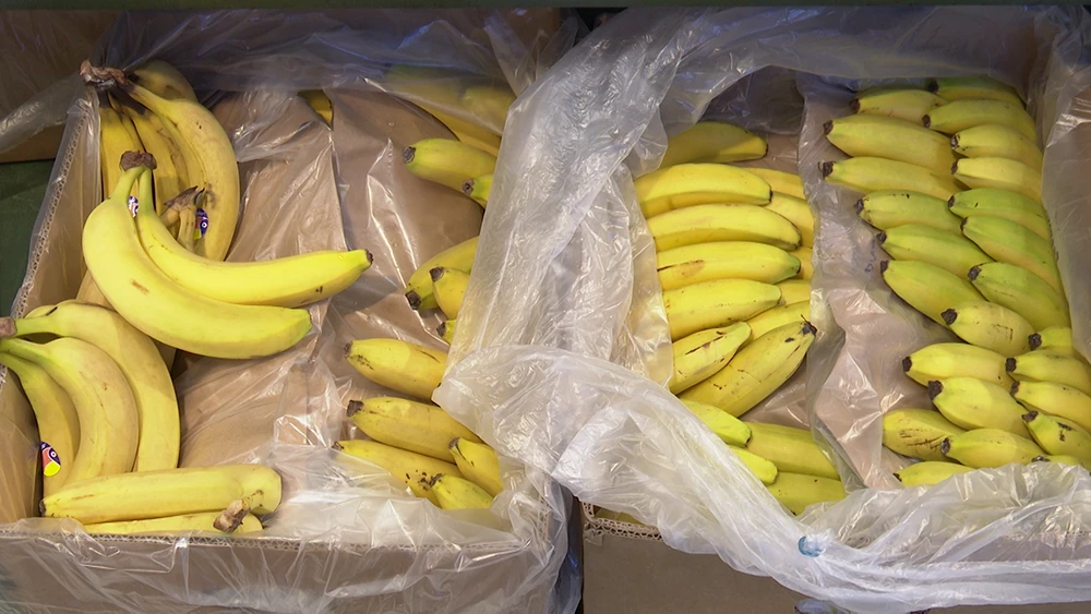 Бананы в коробке на прилавке в супермаркете