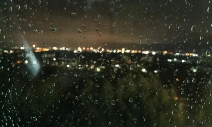 Учёные представили график магнитных бурь в июле - НТР 24