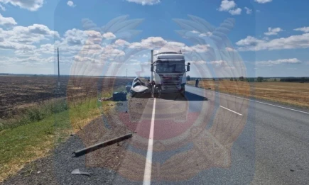 Три смертельных ДТП произошло на трассах Татарстана, погибли четверо - НТР 24