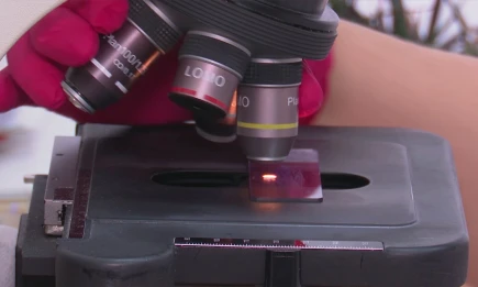 Россиян предупредили об опасных бактериях, которых разбудили сильные дожди - НТР 24