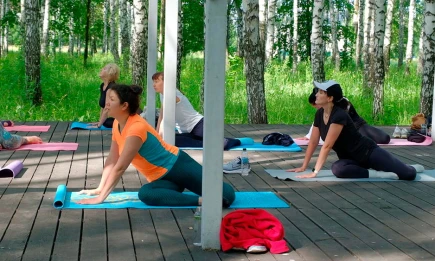 От «Здоровой спины» до бачаты: какие занятия ждут нижнекамцев в выходные - НТР 24