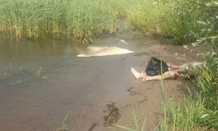 В Татарстане на поверхности реки Камы обнаружили тело неизвестного мужчины - НТР 24