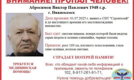 В нижнекамских садах-огородах пропал дедушка с потерей памяти - НТР 24