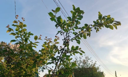 Август начнётся с сюрприза: синоптики предупредили Татарстан - НТР 24