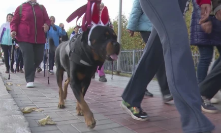 Учёные доказали, что быстрые пешие прогулки снижают риск смерти - НТР 24