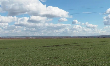 В Татарстане с предприятия требуют взыскать 23 млн рублей за разлив нефти - НТР 24