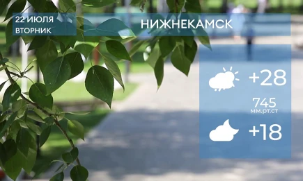 Прогноз погоды в Нижнекамске на 22-е июля 2025 года - НТР 24