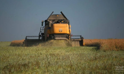 Татарстан сохраняет второй год подряд лидерство в цифровизации АПК - НТР 24