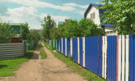 Дачников предупредили о штрафах до 30 тысяч за глухие заборы - НТР 24