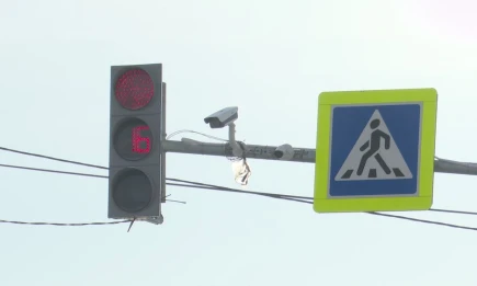 Депутат предложил наказывать инспекторов ГАИ за необоснованные штрафы с камер - НТР 24