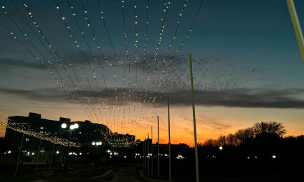 Юрий Нефедьев рассказал, когда наблюдать пик потока Персеиды в Татарстане - НТР 24