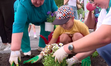 В Нижнекамске запустили проект «Добрый двор» для укрепления добрососедства - НТР 24