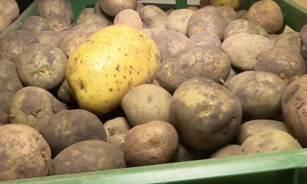 Картофель в Татарстане подорожал на 273% - НТР 24