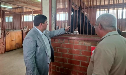 От лыжни до купола: какие проблемы выявили на нижнекамских спортобъектах - НТР 24