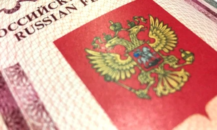 Совет Федерации расширил основания для лишения гражданства РФ - НТР 24