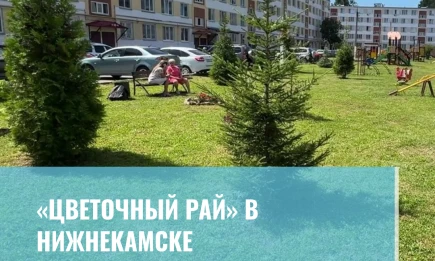 «Цветочный рай» в Нижнекамске - НТР 24
