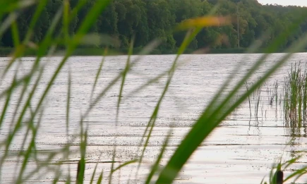 Врач предупредила о скрытой опасности купания в незнакомых водоемах - НТР 24