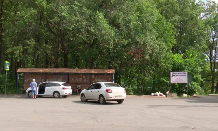 Нижнекамские дачники рассказали, почему им приходится выкидывать мусор у понтонного моста - НТР 24