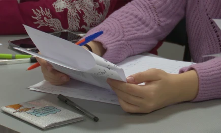 В Татарстане экзамен по татарскому языку в 2025 году сдали в 4 раза больше выпускников, чем годом ранее - НТР 24