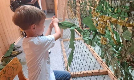 Нижнекамские волонтеры просят помощи в закупке ткани для маскировочных сетей - НТР 24