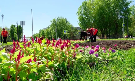 Разница ночных и дневных температур в Татарстане составит 24 градуса - НТР 24