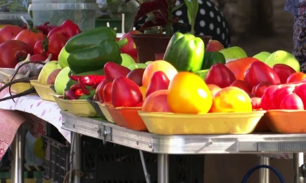 Экономист прогнозирует резкое снижение цен на овощи в августе - НТР 24