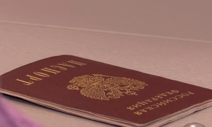 Госдума расширила основания для лишения гражданства РФ - НТР 24