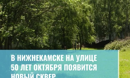 В Нижнекамске на улице 50 лет Октября появится новый сквер - НТР 24