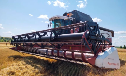 В Нижнекамском районе рассчитывают на высокую урожайность зерна - НТР 24