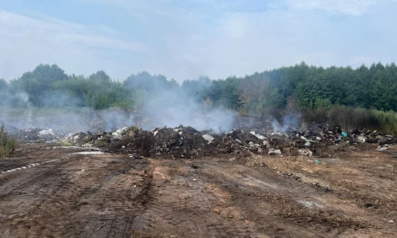 В Нижнекамске проверили воздух после пожара на незаконной свалке - НТР 24