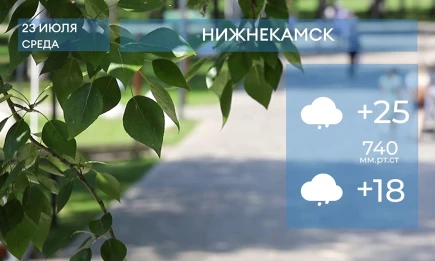 Прогноз погоды в Нижнекамске на 23-е июля 2025 года - НТР 24