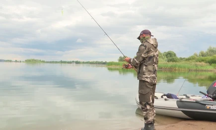 День рыбака: как сохранить улов свежим и безопасным - НТР 24