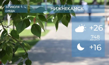 Прогноз погоды в Нижнекамске на 30-е июля 2025 года - НТР 24