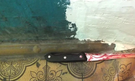 Челнинец, пытавшийся отрезать голову жене, потребовал смягчить приговор - НТР 24