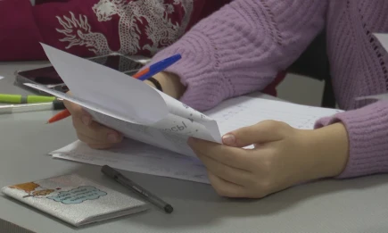 В Татарстане 313 выпускников стали стобалльниками - НТР 24