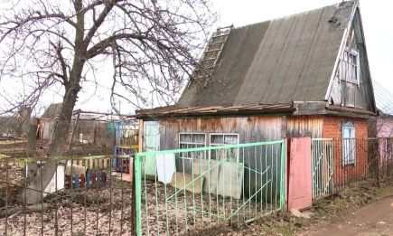 С осени владельцы заброшенных дач в России столкнутся с серьезными последствиями - НТР 24