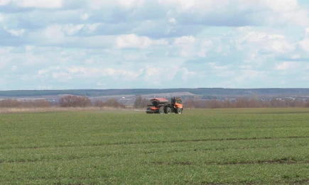 Минсельхозпрод РТ рассказал, как осеннее лето повлияет на урожай в Татарстане - НТР 24