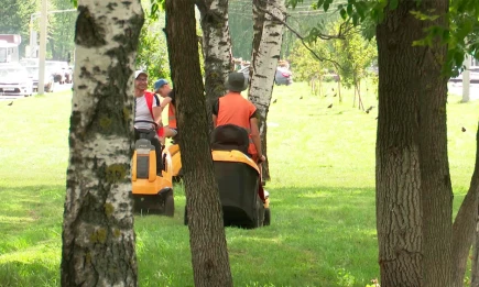 В Татарстане почти 8,8 тысяч подростков трудоустроились на летних каникулах - НТР 24