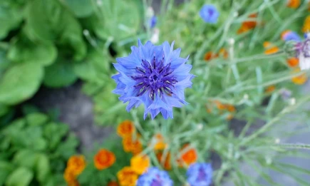 Учёные заявили о появлении двух новых времен года на Земле - НТР 24