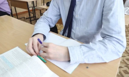 В Госдуме планируют рассмотреть закон о переводе детей-буллеров в спецшколы - НТР 24