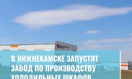 В Нижнекамске запустят завод по производству холодильных шкафов - НТР 24
